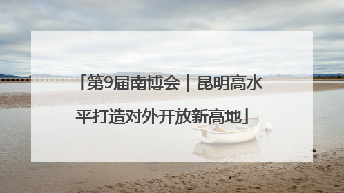 第9届南博会｜昆明高水平打造对外开放新高地