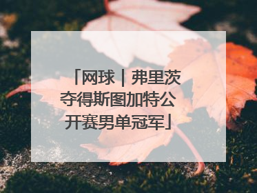 网球｜弗里茨夺得斯图加特公开赛男单冠军