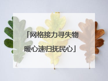 网格接力寻失物 暖心速归抚民心