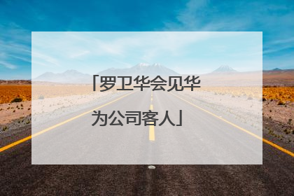 罗卫华会见华为公司客人