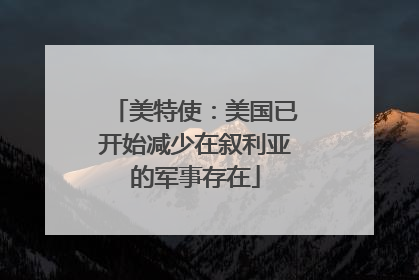 美特使：美国已开始减少在叙利亚的军事存在