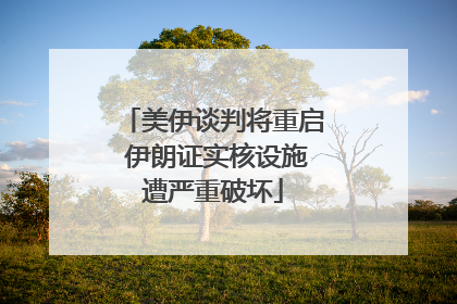 美伊谈判将重启 伊朗证实核设施遭严重破坏