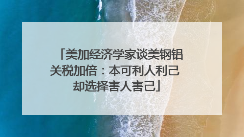 美加经济学家谈美钢铝关税加倍：本可利人利己 却选择害人害己