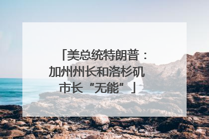 美总统特朗普：加州州长和洛杉矶市长“无能”