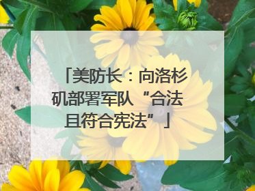 美防长：向洛杉矶部署军队“合法且符合宪法”
