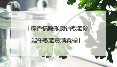 粽香情暖豫灵镇敬老院 端午敬老意满桑榆