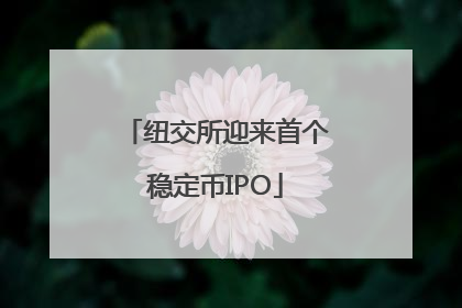 纽交所迎来首个稳定币IPO