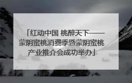 红动中国 桃醉天下——蒙阴蜜桃消费季暨蒙阴蜜桃产业推介会成功举办
