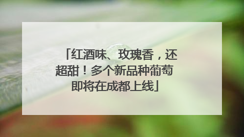 红酒味、玫瑰香，还超甜！多个新品种葡萄即将在成都上线