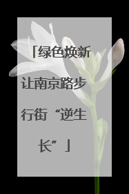 绿色焕新让南京路步行街“逆生长”