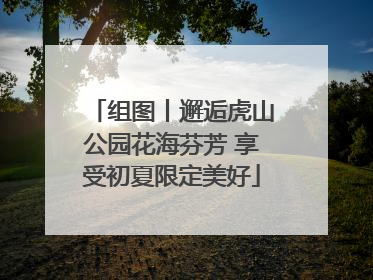 组图丨邂逅虎山公园花海芬芳 享受初夏限定美好