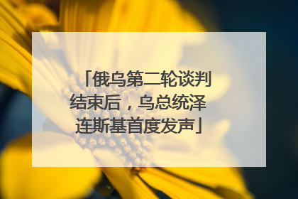 俄乌第二轮谈判结束后，乌总统泽连斯基首度发声