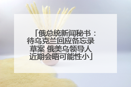 俄总统新闻秘书：待乌克兰回应备忘录草案 俄美乌领导人近期会晤可能性小