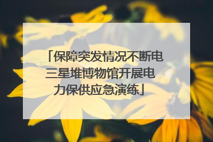 保障突发情况不断电 三星堆博物馆开展电力保供应急演练