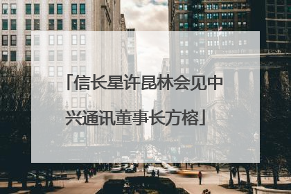 信长星许昆林会见中兴通讯董事长方榕