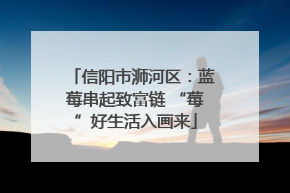 信阳市浉河区：蓝莓串起致富链 “莓”好生活入画来
