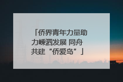 侨界青年力量助力嵊泗发展 同舟共建“侨爱岛”