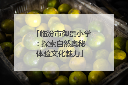 临汾市御景小学：探索自然奥秘 体验文化魅力