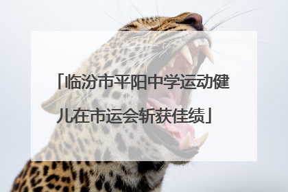 临汾市平阳中学运动健儿在市运会斩获佳绩