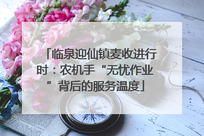 临泉迎仙镇麦收进行时：农机手“无忧作业”背后的服务温度