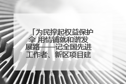为民撑起权益保护伞 用情铺就和谐发展路——记全国先进工作者、新区项目建设中心干部卢小勇