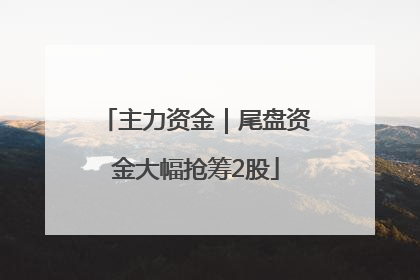 主力资金｜尾盘资金大幅抢筹2股