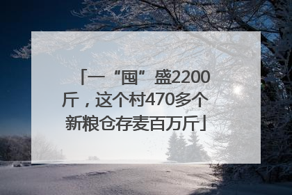 一“囤”盛2200斤，这个村470多个新粮仓存麦百万斤