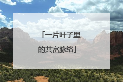 一片叶子里的共富脉络