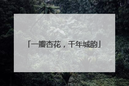 一瓣杏花，千年城韵