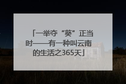 一举夺“葵”正当时——有一种叫云南的生活之365天