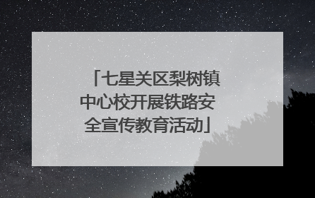 七星关区梨树镇中心校开展铁路安全宣传教育活动