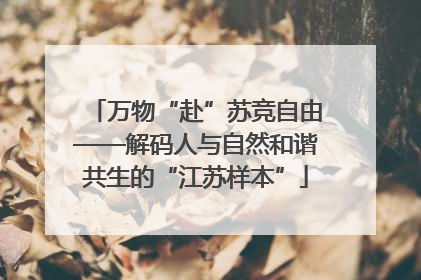 万物“赴”苏竞自由——解码人与自然和谐共生的“江苏样本”