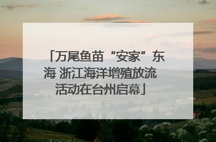 万尾鱼苗“安家”东海 浙江海洋增殖放流活动在台州启幕