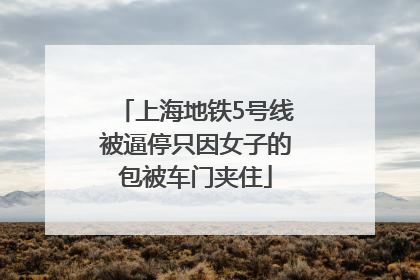 上海地铁5号线被逼停只因女子的包被车门夹住