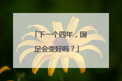 下一个四年，国足会变好吗？