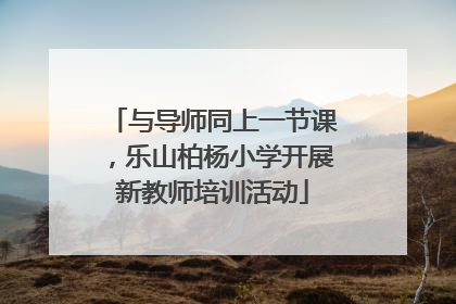 与导师同上一节课，乐山柏杨小学开展新教师培训活动