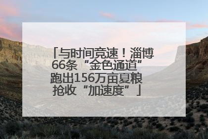 与时间竞速！淄博66条“金色通道”跑出156万亩夏粮抢收“加速度”