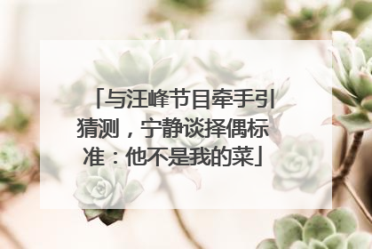 与汪峰节目牵手引猜测，宁静谈择偶标准：他不是我的菜