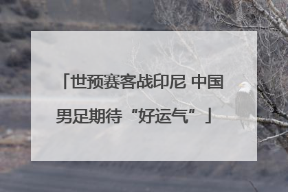 世预赛客战印尼 中国男足期待“好运气”