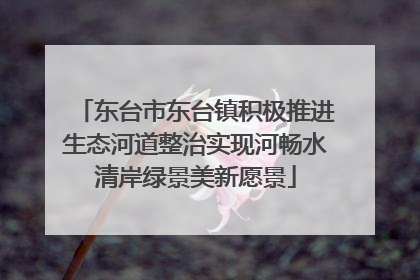 东台市东台镇积极推进生态河道整治实现河畅水清岸绿景美新愿景
