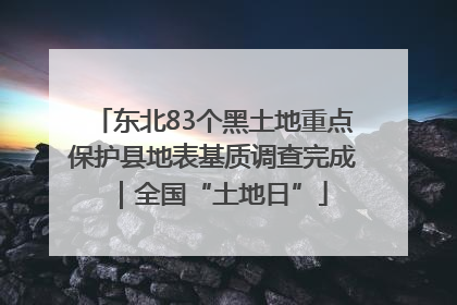 东北83个黑土地重点保护县地表基质调查完成｜全国“土地日”