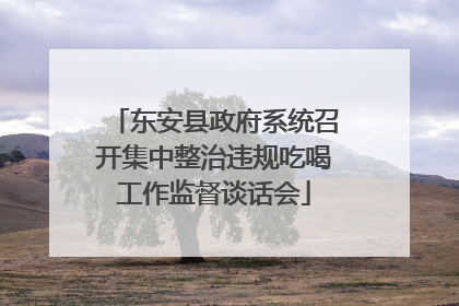 东安县政府系统召开集中整治违规吃喝工作监督谈话会