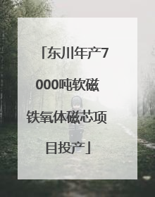 东川年产7000吨软磁铁氧体磁芯项目投产