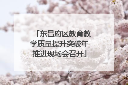 东昌府区教育教学质量提升突破年推进现场会召开