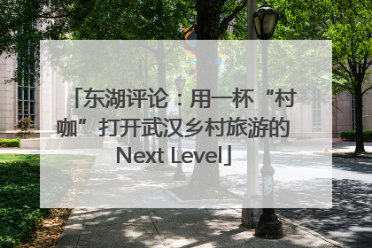 东湖评论：用一杯“村咖”打开武汉乡村旅游的Next Level