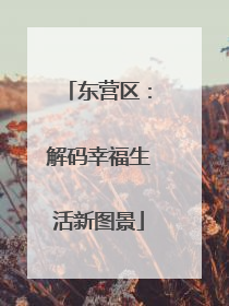 东营区：解码幸福生活新图景