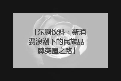 东鹏饮料：新消费浪潮下的民族品牌突围之路
