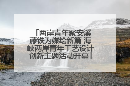 两岸青年聚安溪 藤铁为媒绘新篇 海峡两岸青年工艺设计创新主题活动开幕