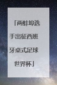 两蚌埠选手出征西班牙桌式足球世界杯