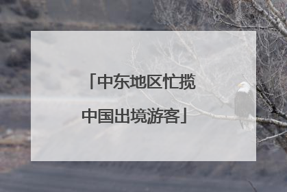 中东地区忙揽中国出境游客